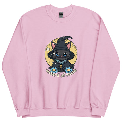wizard of awws sweatshirt in pink - gaslit apparel